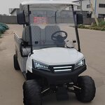 Electric Golf Cart Manufacturer - OEM/ODM 48v Battery 4 Stroke Engine Cargo Golf Cart