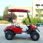 Electric Golf Cart Manufacturer - OEM/ODM 2-Seater 48v Lithium Sightseeing Golf Cart