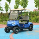 Electric Golf Cart Manufacturer - OEM Custom 2-Seater Lithium Battery Utility Cart