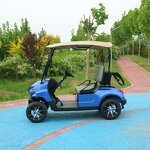 Electric Golf Cart Manufacturer - OEM Custom 2-Seater Lithium Battery Utility Cart