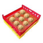 Candy Tray Manufacturer - OEM/ODM Vented Stackable Food Grade Drying Tray