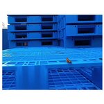 Plastic Pallet Manufacturer - OEM/ODM 1200x1000 Durable 1 Ton Euro Pallet