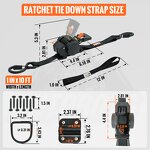 Ratchet Tie Down Strap Manufacturer - 1 Inch Heavy Duty Polyester Material