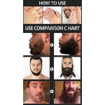 Men Maintenance Beard Oil Nourishing Care Beard Growth Liquid Hair Growth Liquid Exclusive Supply