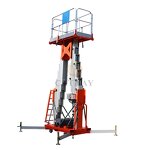 Dual Mast Lift Manufacturer - OEM/ODM 6-16m 250kg Push Around Elevador
