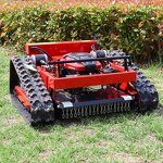 RC Petrol Lawn Mower Manufacturer - Robot Lawn Mower for Sale