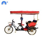 Tourist Passenger Electric Cart Manufacturer - 4 Seater Pedicab Sightseeing Cart