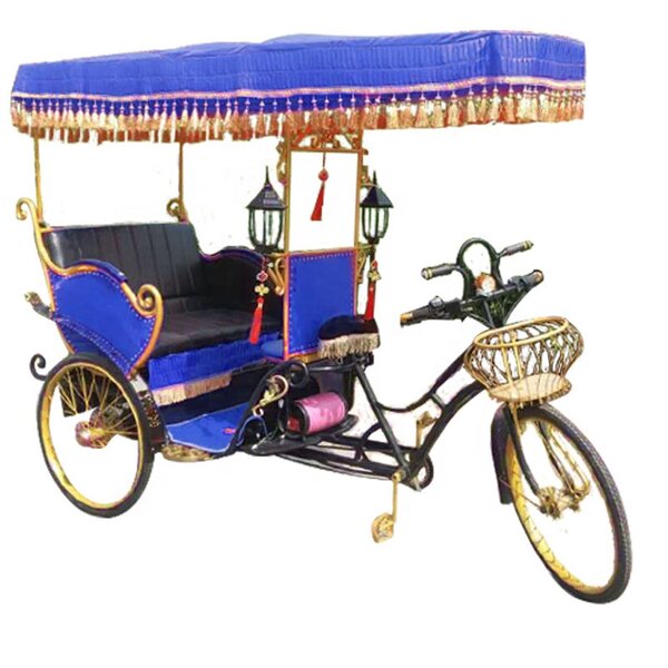 Sightseeing Electric Tricycle Supplier - 3 Person Tandem Bike Brand Hot