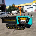 Self-loading Crawler Dumper Manufacturer - 500kg-8ton with Lift and Crane