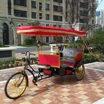 Tourist Electric Pedicab Factory - Auto Rickshaw Price Manufacturer