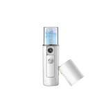 Facial Mist Spray Manufacturer - OEM/ODM 2022 Mini Nano Atomization Replenishing Instrument