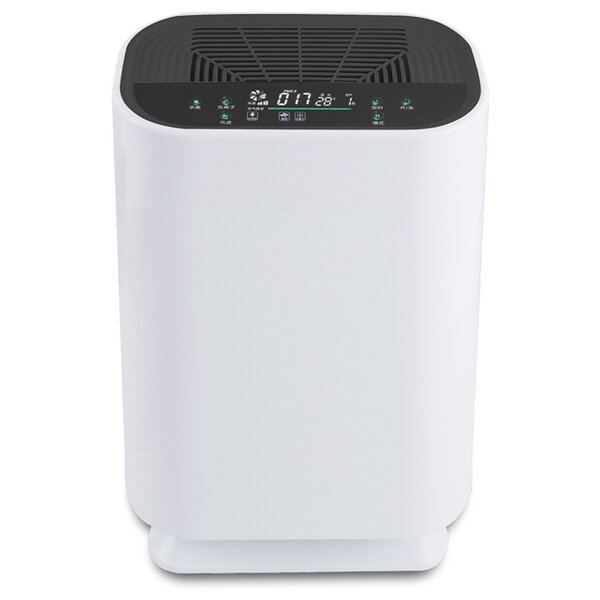 Air Purifier Manufacturer - OEM/ODM Personal Smart Negative Ionizer Home Purifier