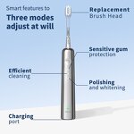 Electric Toothbrush Manufacturer - Wholesale USB Rechargeable Sweeping Vibrating Sonic