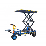 Electric Trolley with Lifting Manufacturer - OEM Cargo Loaded Unloaded