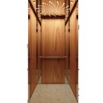 Home Elevator Manufacturer - OEM/ODM Hydraulic Residential for Disabled People