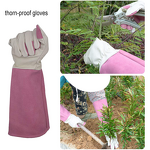 Long Sleeve Garden Gloves Manufacturer - Durable Women Top Grain Genuine Leather