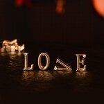 Dog Collar Factory - OEM Rose Gold Steel Collar