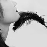 Feather Teaser Set Factory - OEM Ostrich Feather Toy