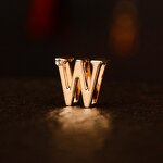 Dog Collar Factory - OEM Rose Gold Steel Collar