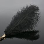 Feather Teaser Set Factory - OEM Ostrich Feather Toy