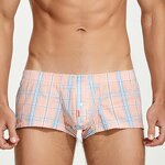 Men's Briefs Manufacturer - Wholesale Custom Logo Polyester Sexy Seamless