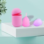 Menstrual Cup Set Manufacturer - OEM/ODM No Leak Silicone with Case