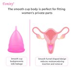 Menstrual Cup Set Manufacturer - OEM/ODM Eco-friendly Reusable Silicone