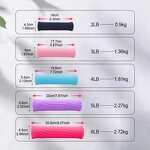 Dumbbell Set Manufacturer - OEM Custom Gym Equipment Free Weight