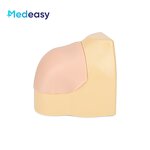 Shoulder Arthroscopic Surgery Simulator Manufacturer - Training Simulator with Camera