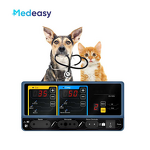 High Frequency Electrocautery Machine Factory - 100W Cutting Coagulation for Veterinary