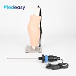 Simulated Arthroscopic Simulator Manufacturer - Knee Joint Model for Training