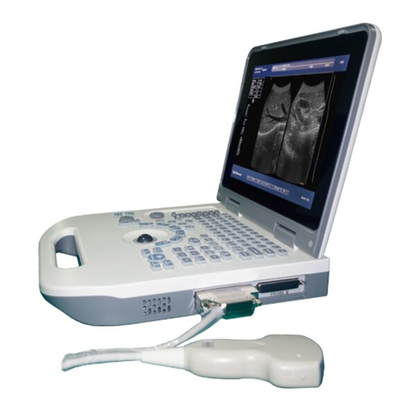 Portable Ultrasound Supplier - Full Digital LED Health Treatment Expert
