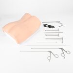 Intervertebral Foramen Simulator Factory - Lumbar Spine Model UBE Training