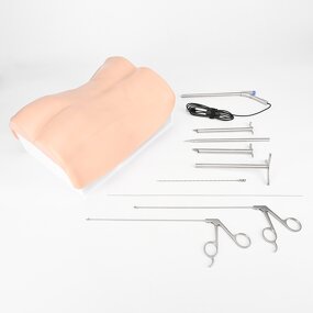 Intervertebral Foramen Simulator Factory - Lumbar Spine Model UBE Training