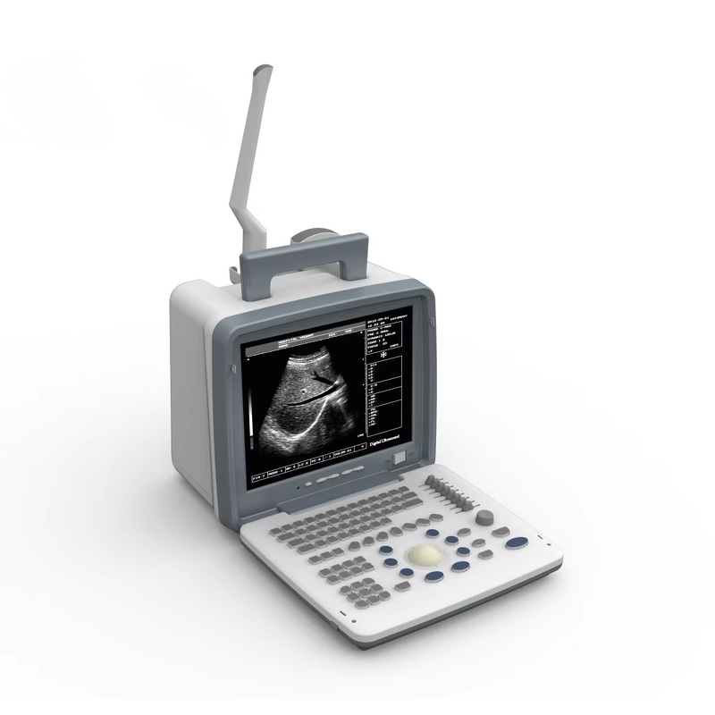 Pocket Portable Ultrasound Manufacturer - Special Design Full Digital LED