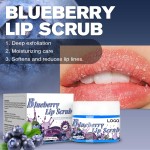 Private Label Exfoliating Hydrating Nature Blue Blueberry Lip Scrub for Dark Lips