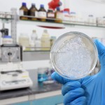 有效清洁去角质半成品化妆品1kg身体面部去角质凝胶