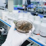 批发半成品水润美白面部皮肤亮白精华与鱼子酱烟酰胺