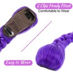 Cosplay Wig Manufacturer - OEM/ODM Anime Purple Braided Kpop BB