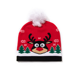 Knitted Hat Manufacturer - OEM/ODM Red Festive Christmas Tree Santa Claus