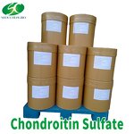 Sodium Chondroitin Sulfate Manufacturer - OEM/ODM 90%/95% Food Grade CAS