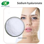 Hyaluronic Acid Powder Manufacturer - OEM/ODM Cosmetics Raw Material 9004-61-9