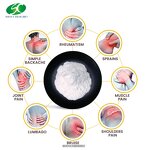 Chondroitin Sulfate Sodium Powder Manufacturer - OEM/ODM Bulk Bovine Chicken Halal