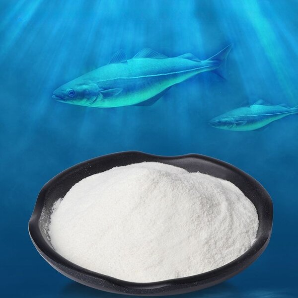 Marine Fish Collagen Peptide Powder Manufacturer - OEM/ODM China Food Grade High