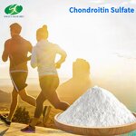 Chondroitin Sulfate Sodium Powder Manufacturer - OEM/ODM Bulk Bovine Chicken Halal