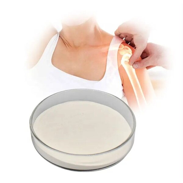 Chondroitin Sulfate Powder Manufacturer - OEM/ODM Raw Material 99% for Joints