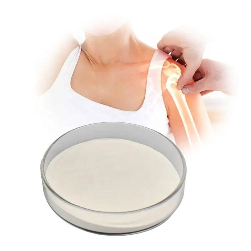 Chondroitin Sulfate Powder Manufacturer - OEM/ODM Raw Material 99% for Joints