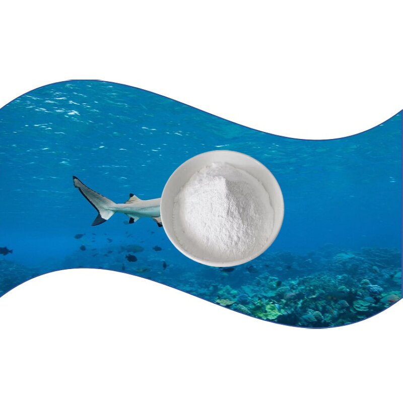 Fish Cartilage Powder Manufacturer - OEM/ODM Food Grade Chondroitin Sulphate