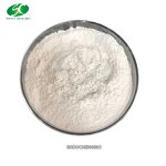 Chondroitin Sulfate Sodium Powder Manufacturer - OEM/ODM USP EP 90% 95% 98%