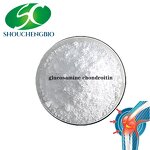 Chondroitin Sulfate Powder Manufacturer - Factory Price Bovine 90% Sodium